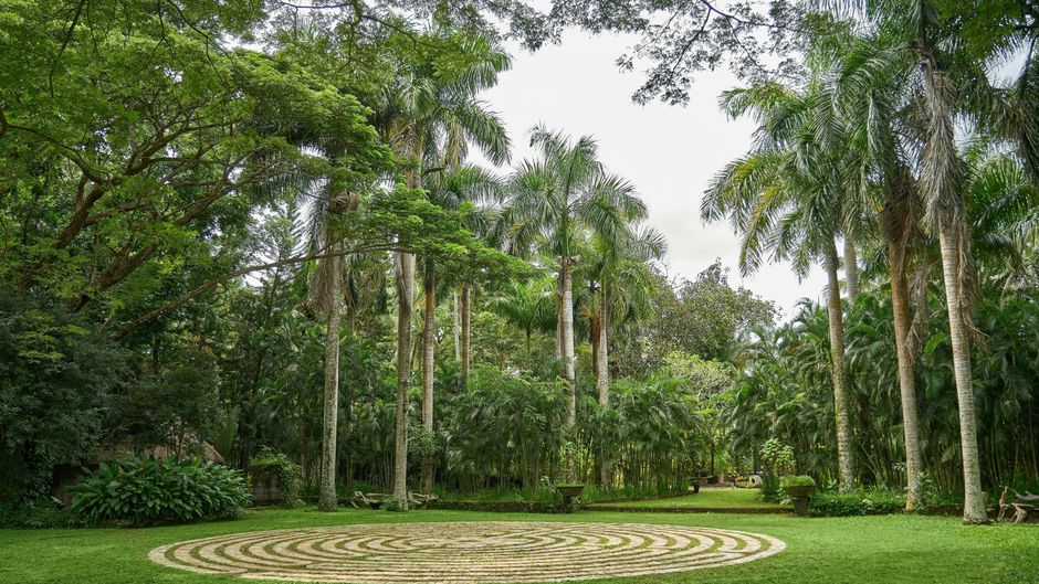 The Farm At San Benito Other