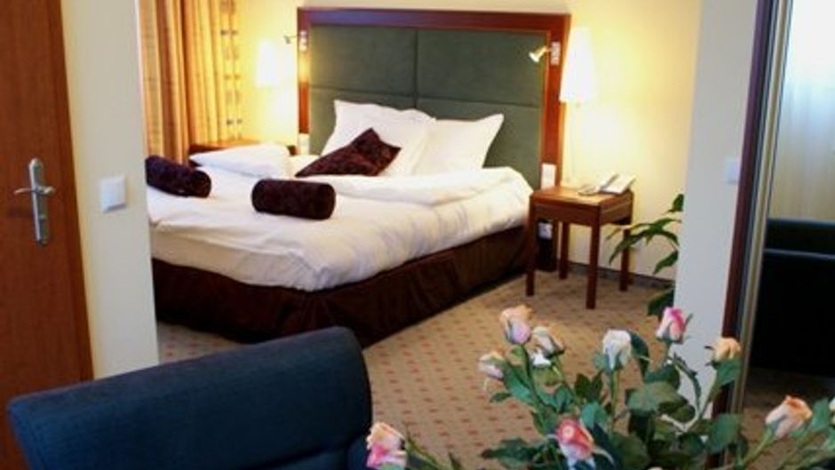 Hotel Wilga Katowice Airport Other
