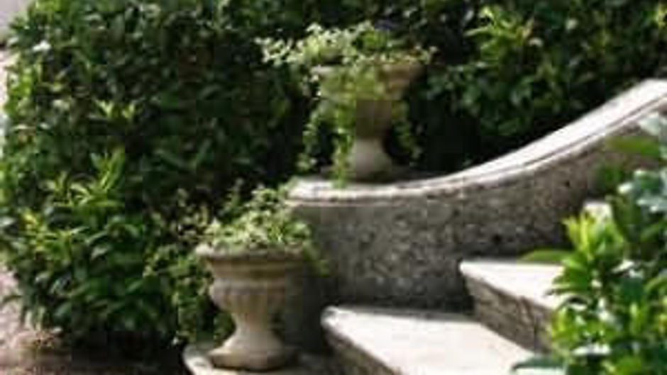 Chateau d'Adomenil Other