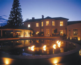 The Vineyard