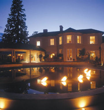 The Vineyard
