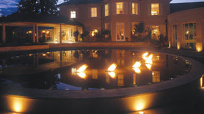 The Vineyard