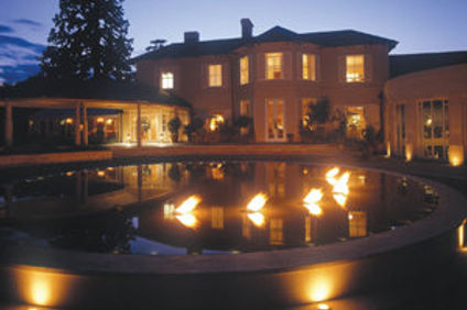 The Vineyard