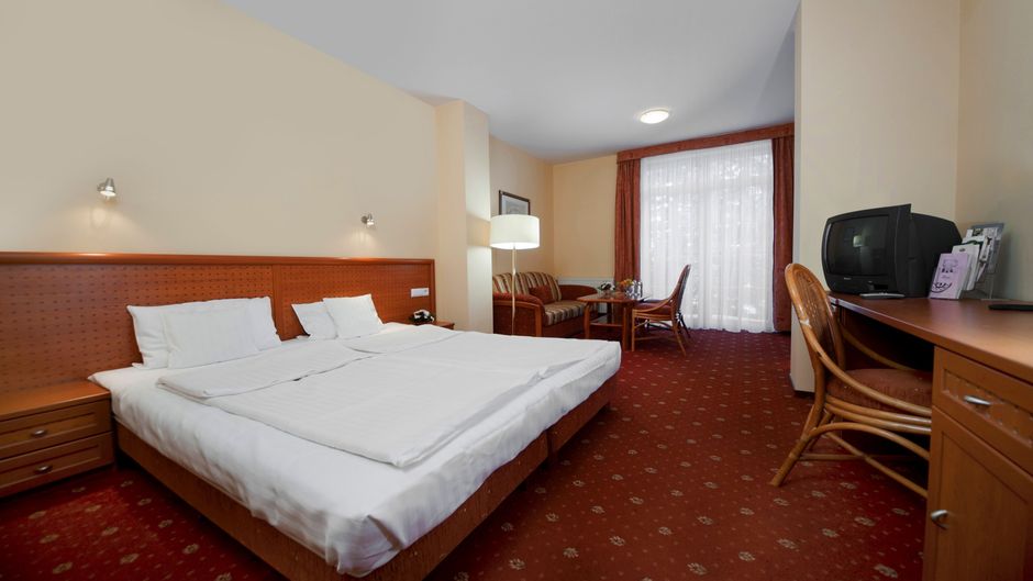 Hotel Vivaldi Room