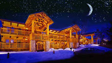 Terrace Suites