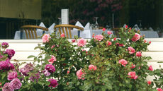 Kingsgate Hotel Te Anau