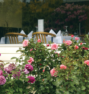 Kingsgate Hotel Te Anau