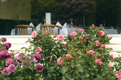 Kingsgate Hotel Te Anau