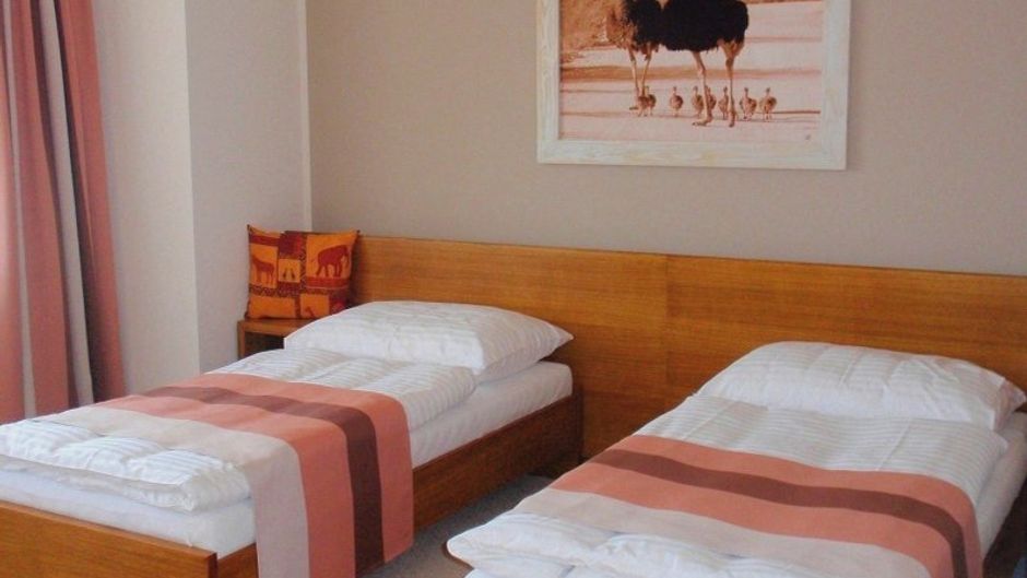 Boutique Hotel Afrika Frydek-Mistek Room