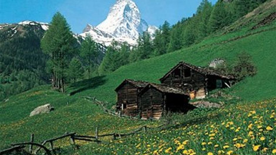 Hotel Monte Rosa Other