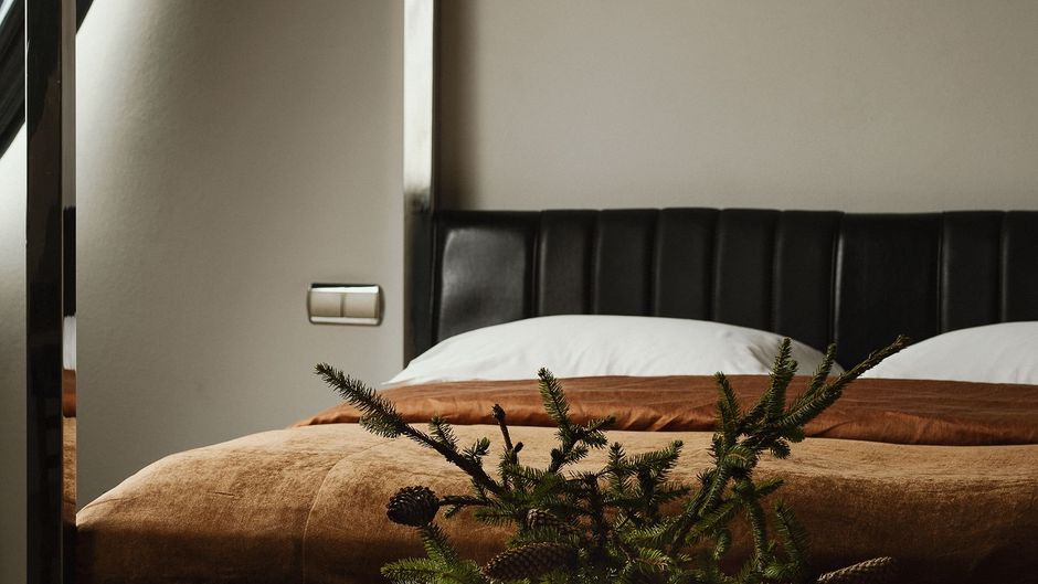 Hotel Monopol Room