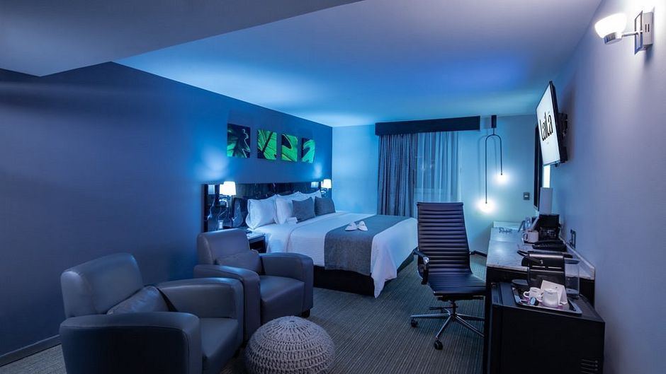 Laila Hotel CDMX Room