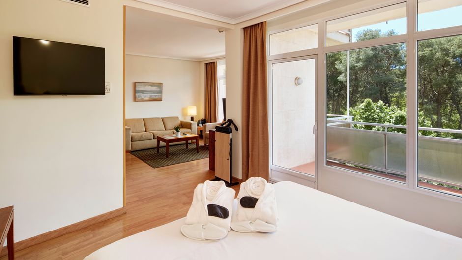 Sercotel Los Llanos Hotel Suite