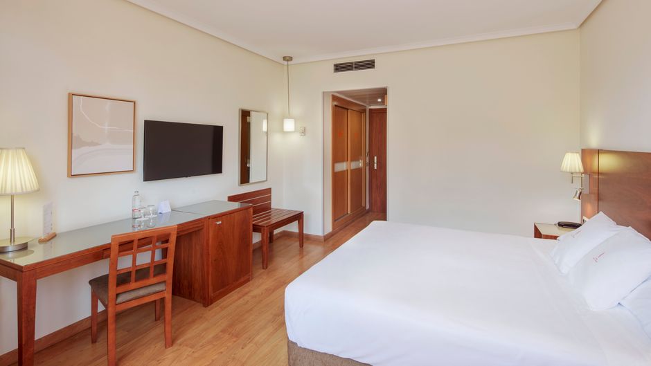 Sercotel Los Llanos Hotel Other