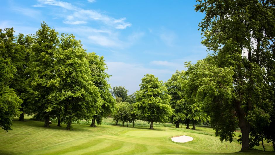 Shendish Manor Hotel Golf