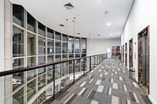 Staybridge Suites