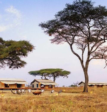 Singita Mara River Tented Camp