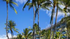 The Westin Maui Resort & Spa, Ka'anapali