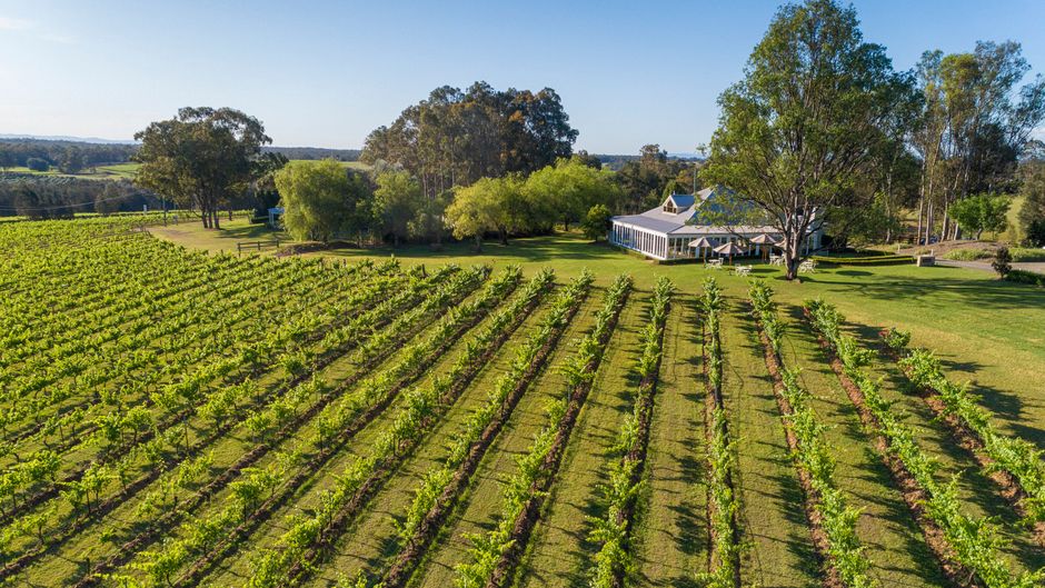 Spicers Vineyards Estate Other