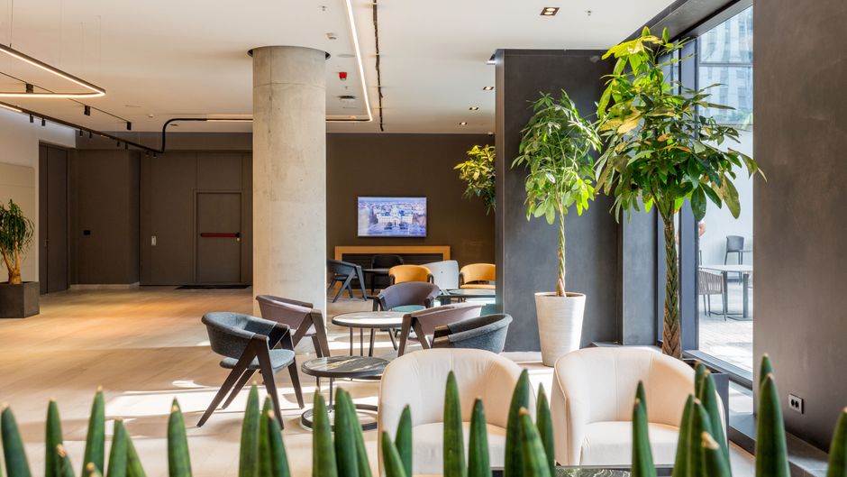 Hotel Mona Plaza Other
