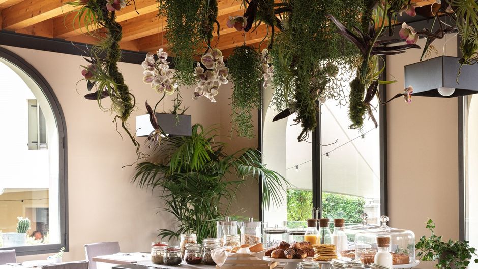 Sweet Hotel Restaurant