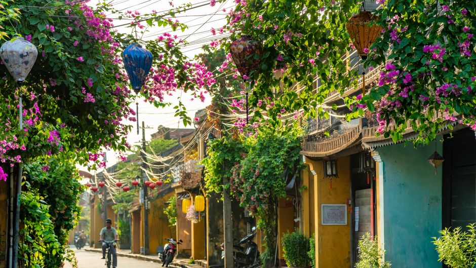 Moire Hoi An Other