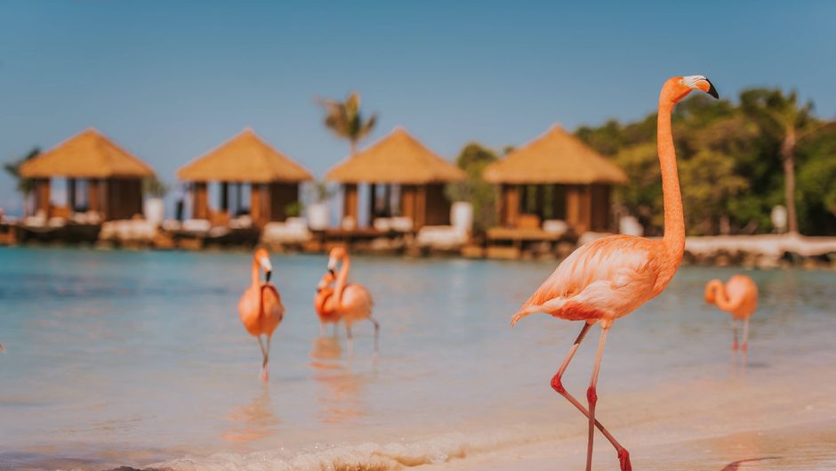 Renaissance Wind Creek Aruba Resort Beach
