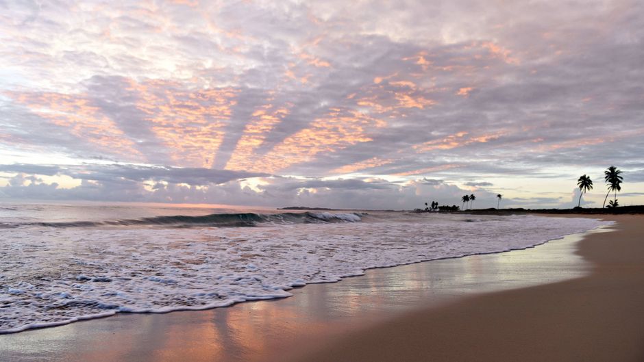 Royalton CHIC Punta Cana-Adults Only Beach