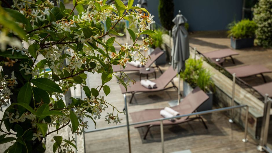 Courtyard Montpellier Marriott Recreation