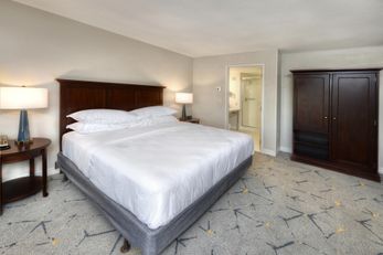 Sheraton Baltimore Washington Airport