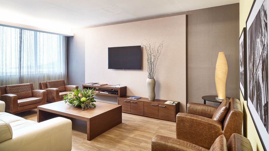 Sheraton Vitoria Hotel Other