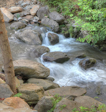 Hampton Inn Historic Nature Trail