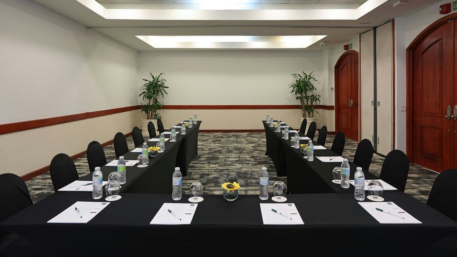 Four Points by Sheraton Santo Domingo Meeting