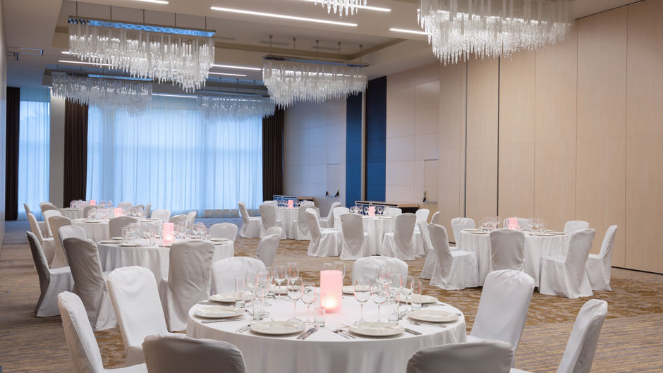 DoubleTree by Hilton Moscow Vnukovo Arpt Ballroom