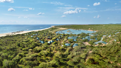 Cinnamon Wild Yala