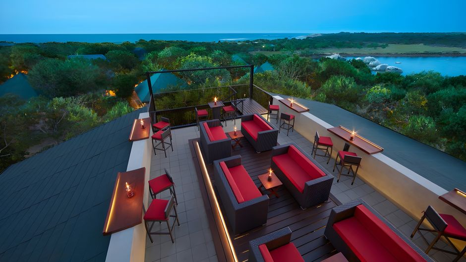 Cinnamon Wild Yala Other