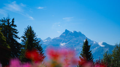 Chalet RoyAlp Hotel & Spa
