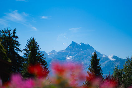 Chalet RoyAlp Hotel & Spa