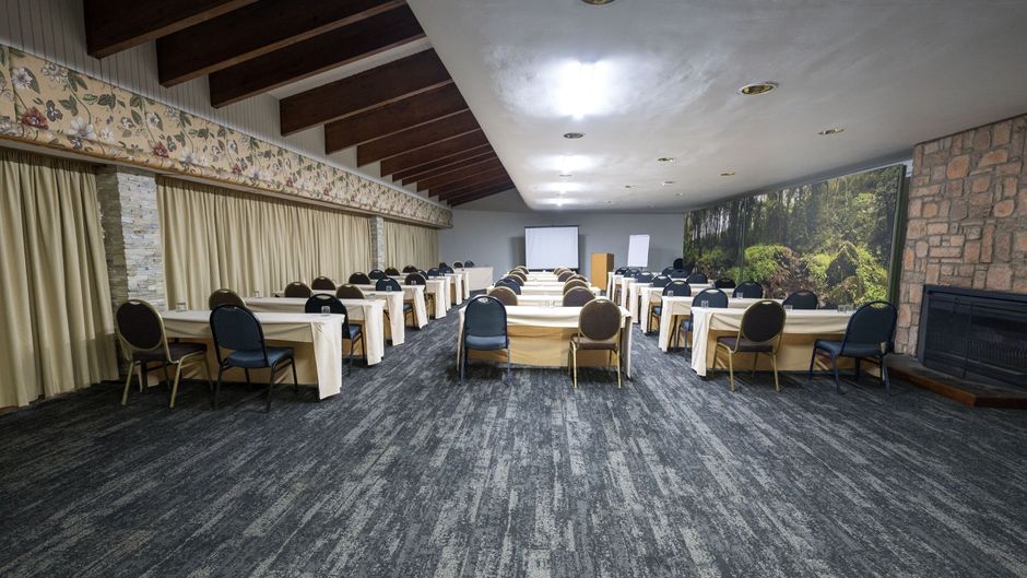 ANEW Hotel Ingeli Forest & Spa Meeting