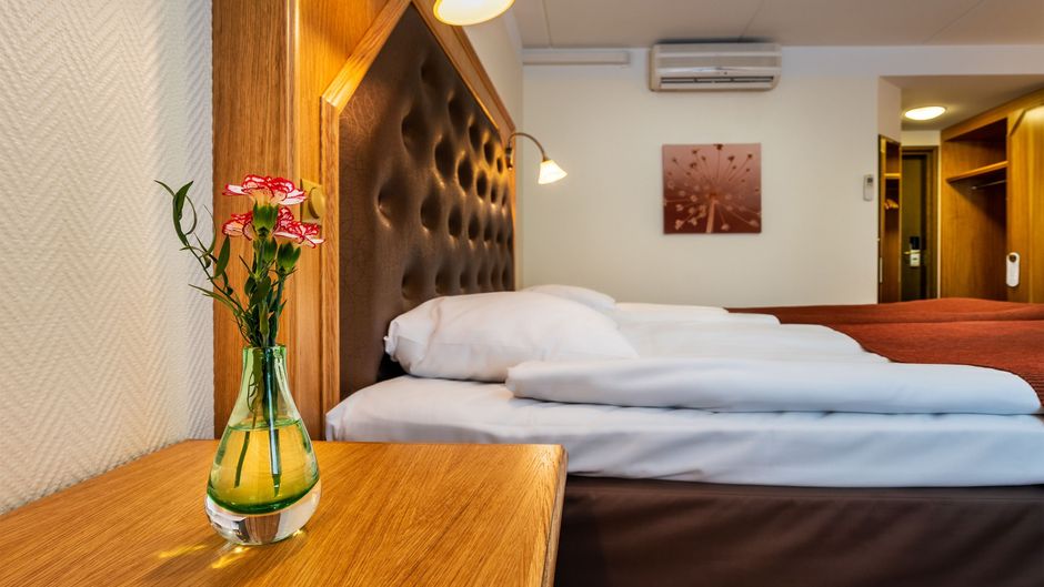 Hotel Vallonia Room