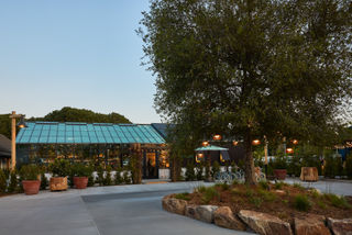 Treehouse Silicon Valley