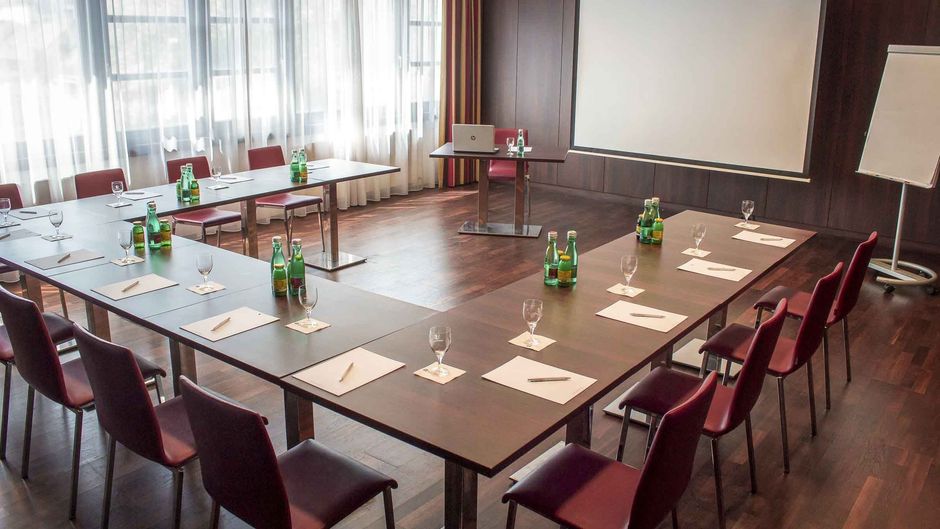 Plaza Inn Wels Meeting