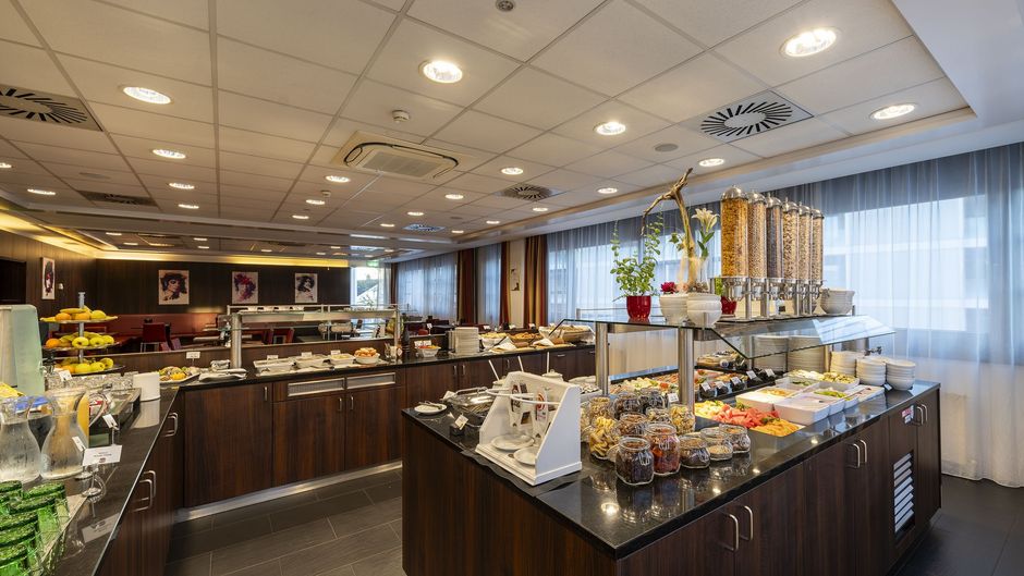Plaza Inn Wels Other