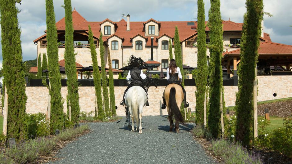 Le Domaine de la Klauss Other