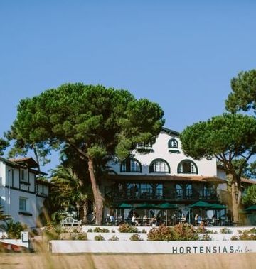Les Hortensias du Lac