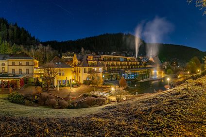 Hotel Therme Bad Teinach