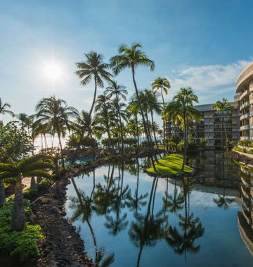Hilton Grand Vacations Club Ocean Tower
