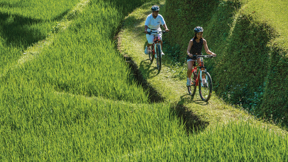 Four Seasons Resort Bali at Sayan Recreation