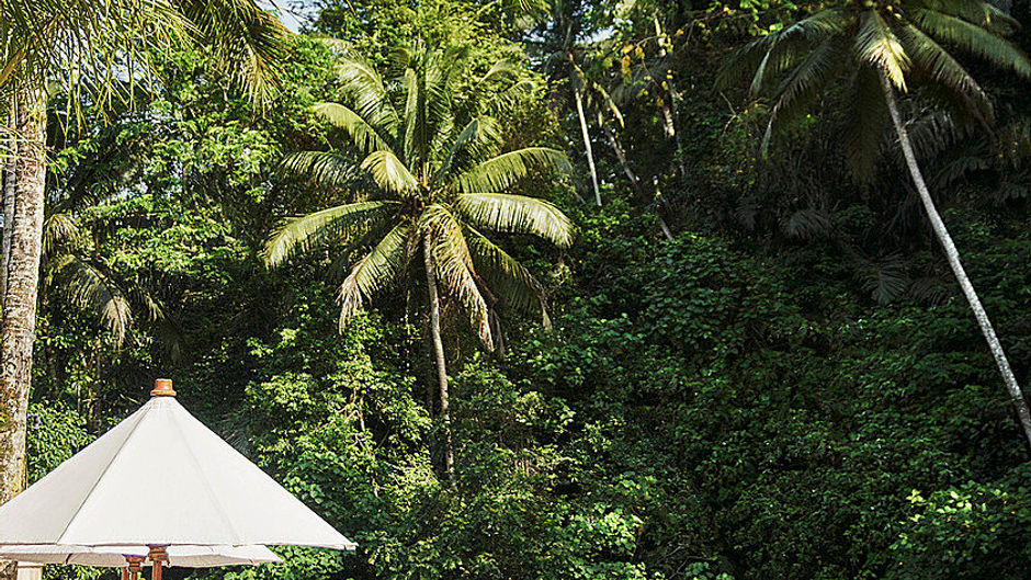 Four Seasons Resort Bali at Sayan Pool
