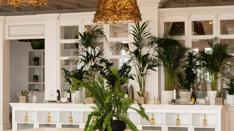 Grecotel Mykonos Blu Lobby